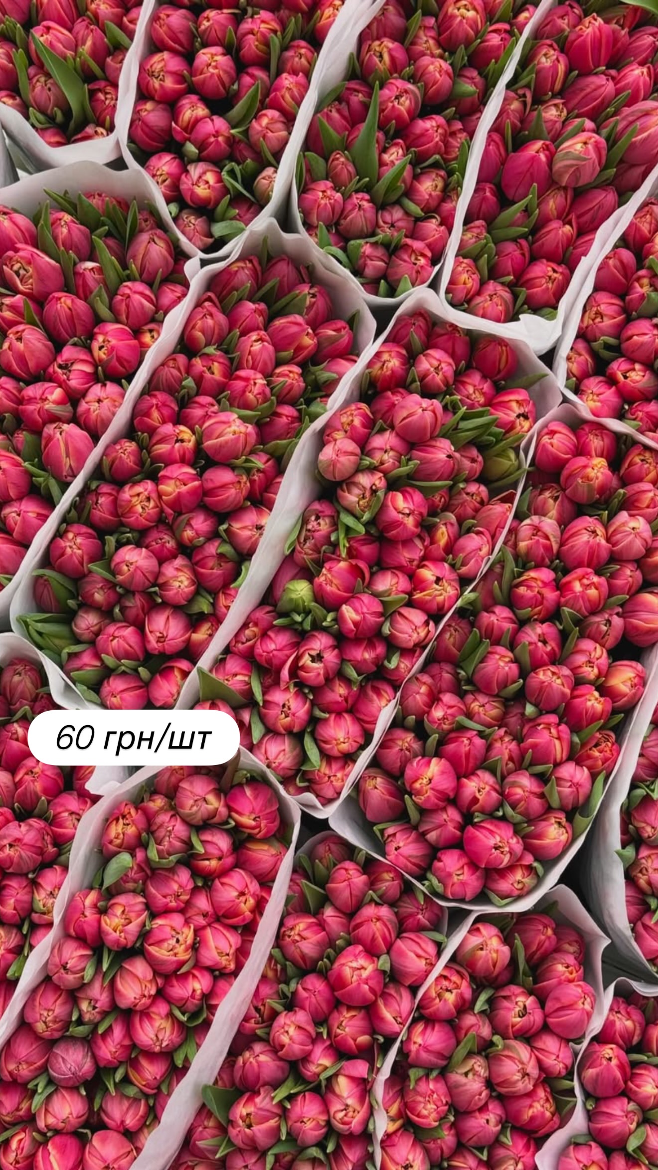 Букет від broom_room_flowers