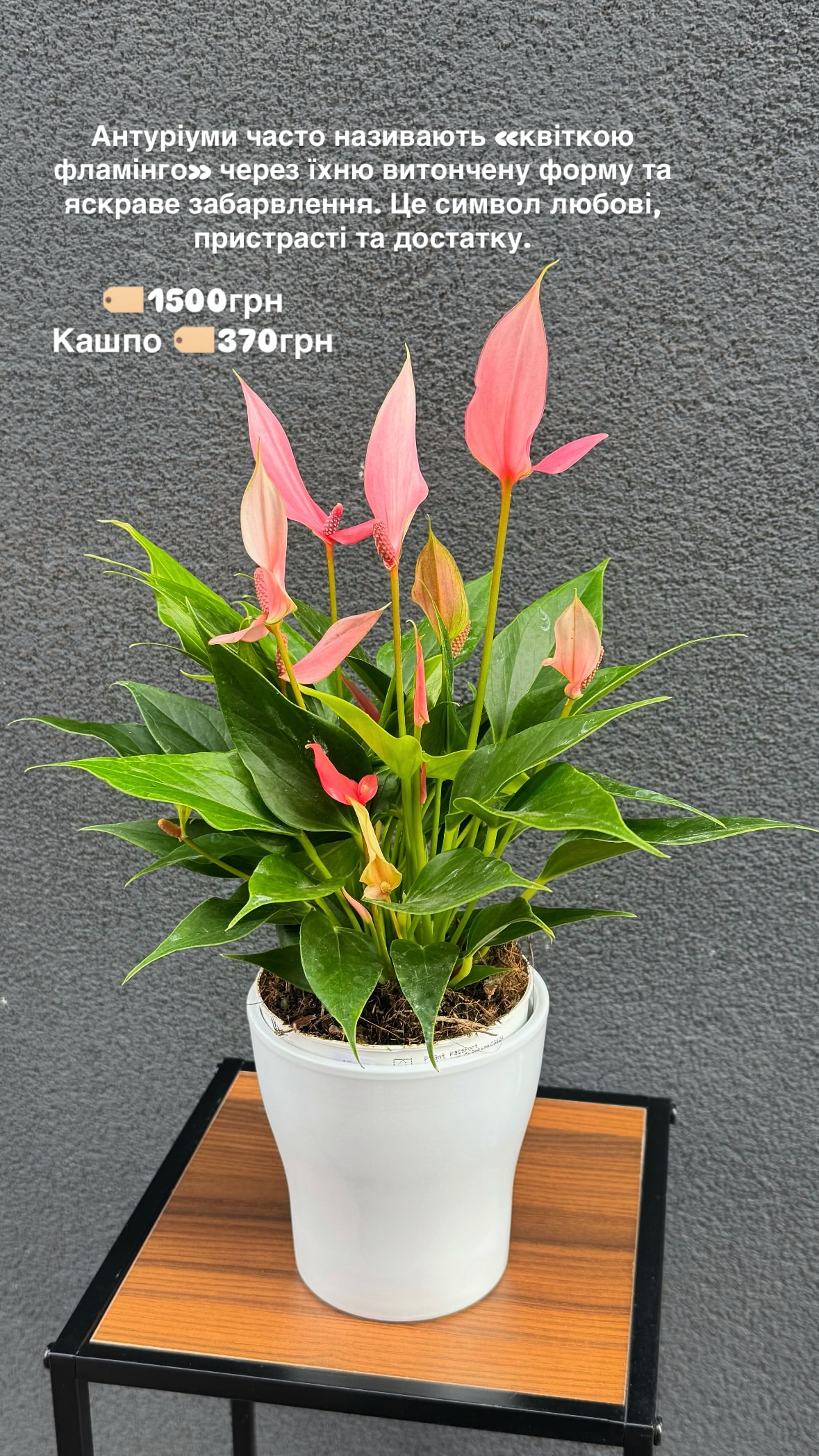 Букет від dandelionkyiv