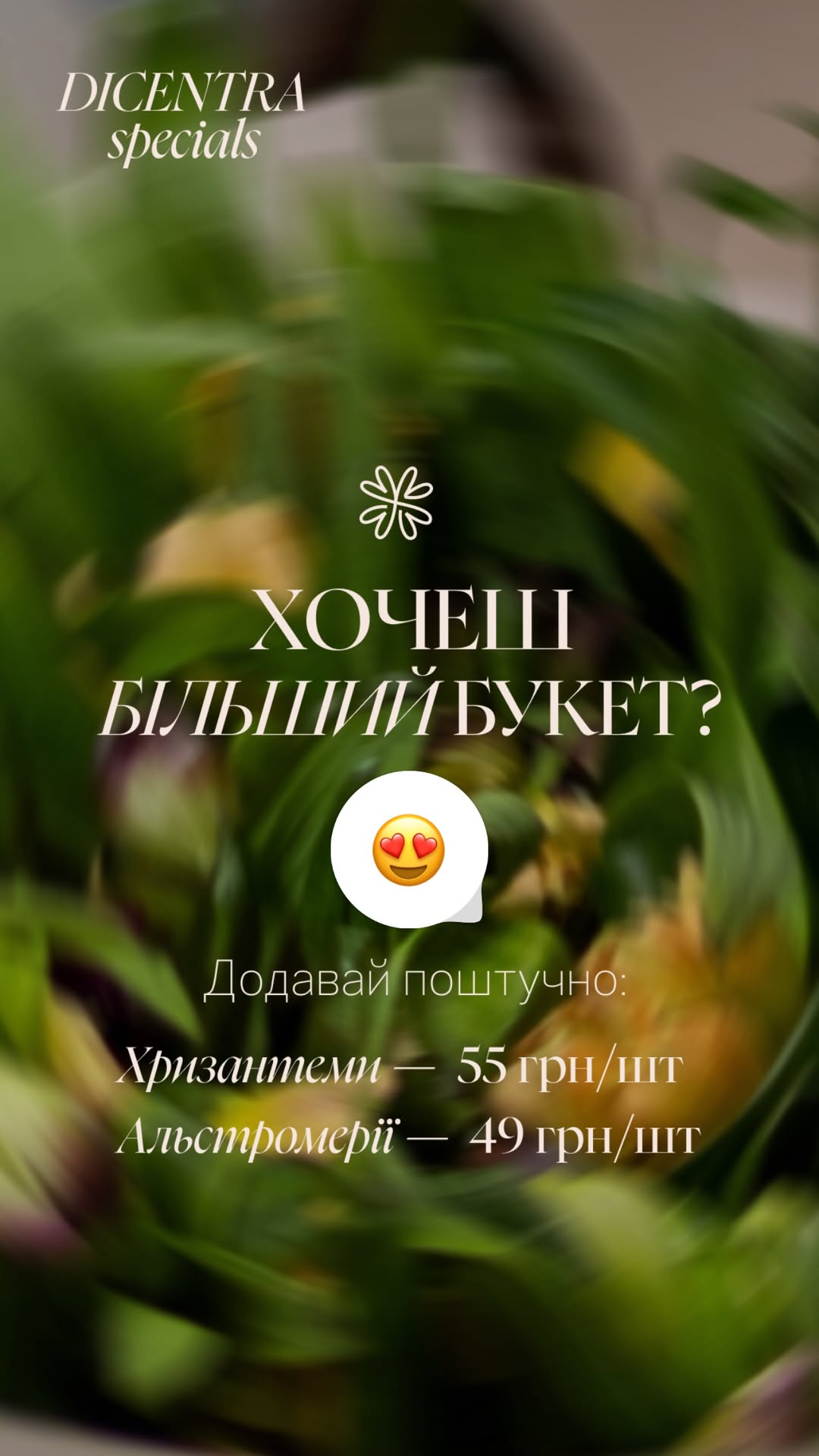Букет від dicentraflowers