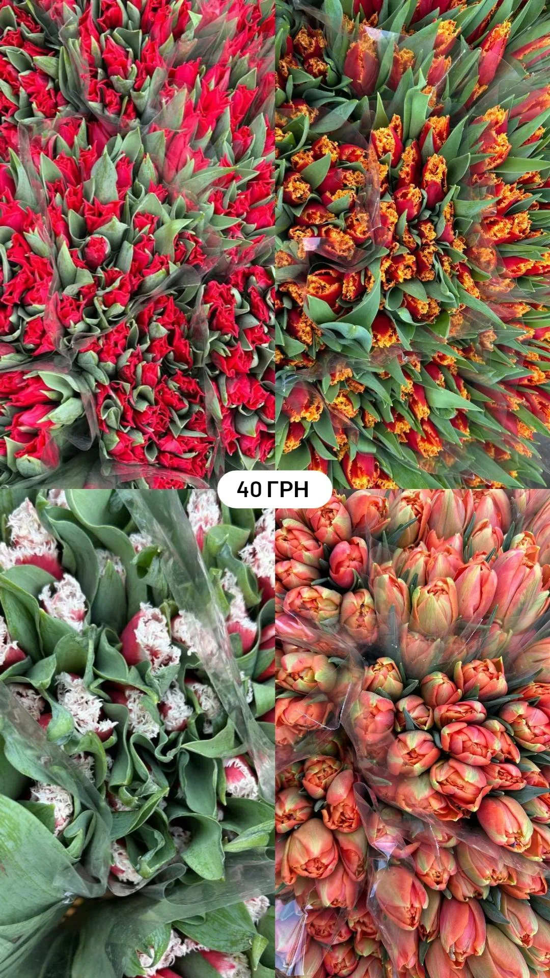 Букет від dovflowers_kyiv