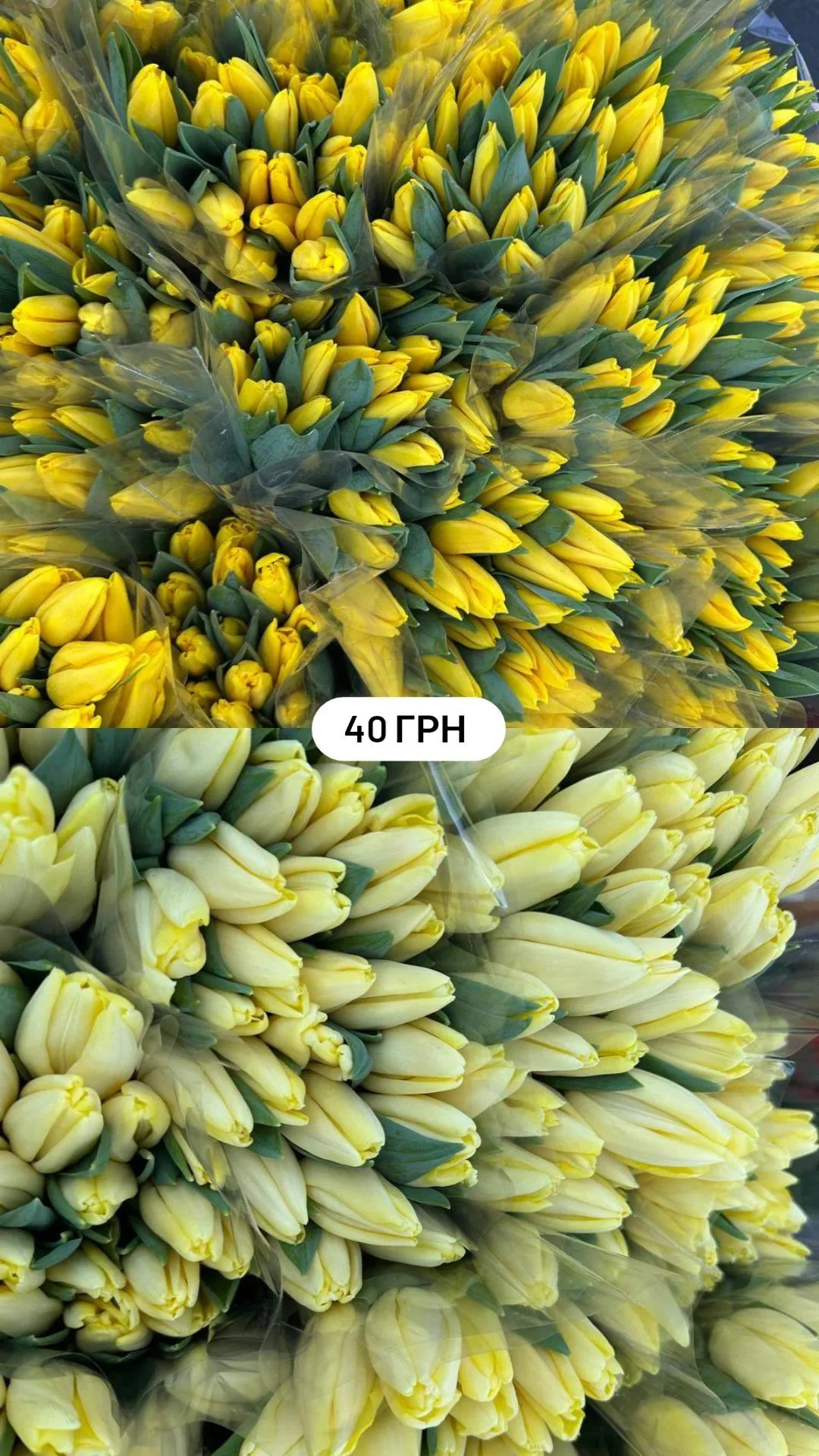 Букет від dovflowers_kyiv