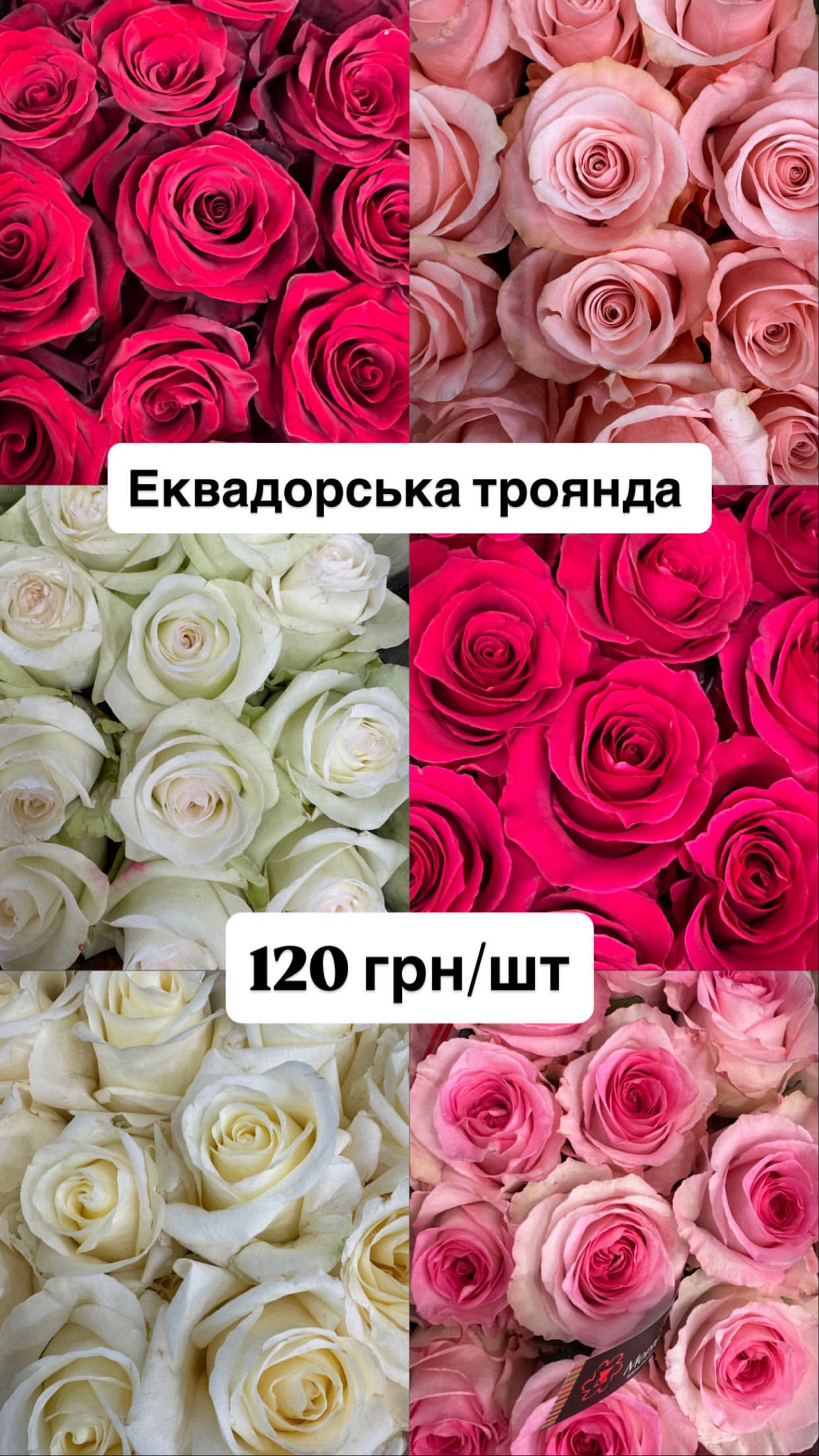 Букет від dovflowers_kyiv