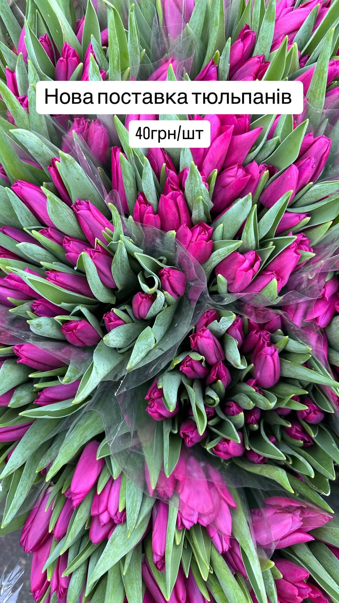 Букет від dovflowers_kyiv