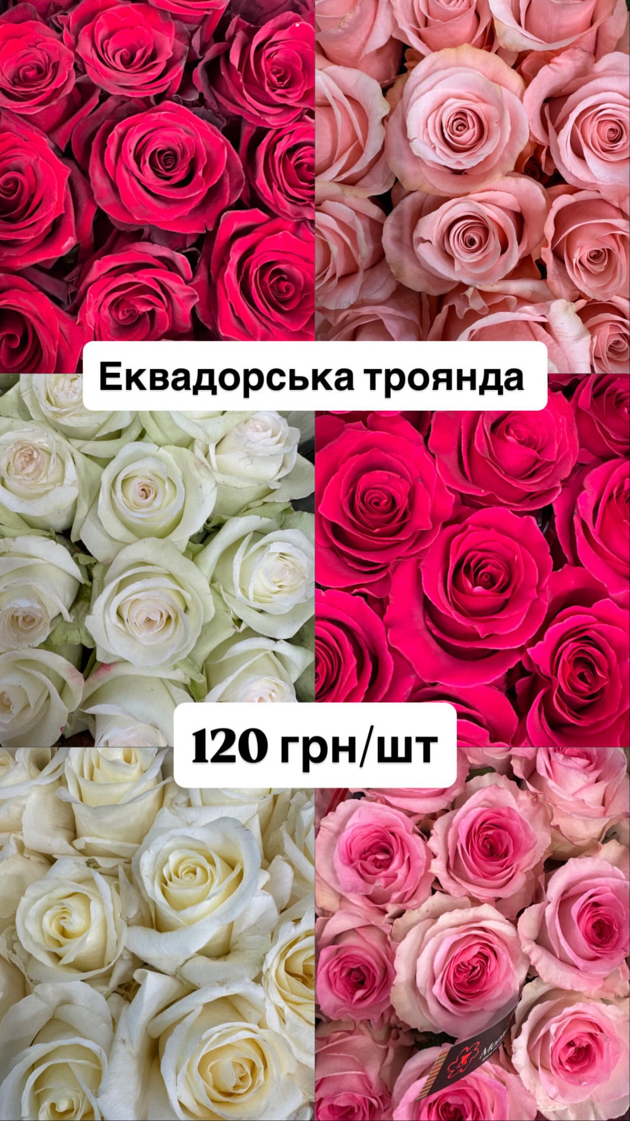 Букет від dovflowers_kyiv