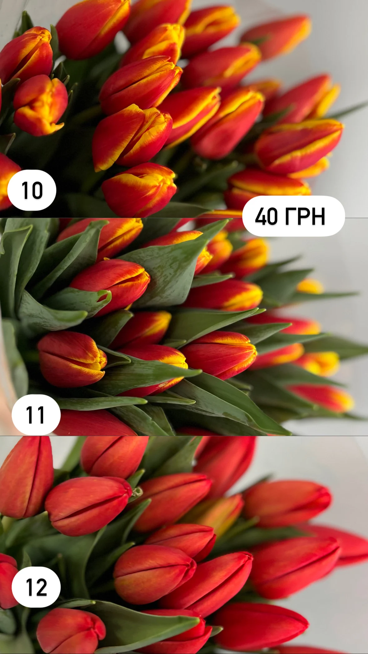 Букет від dovflowers_kyiv