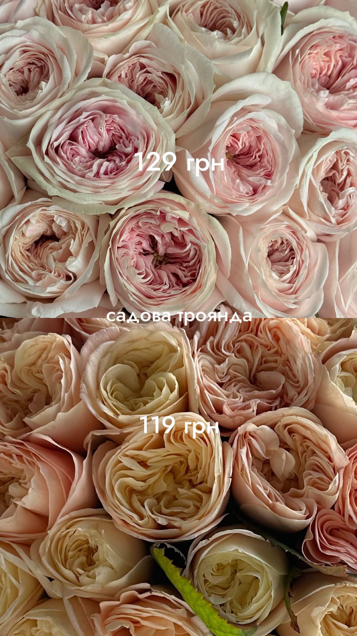 Букет від flo.lux