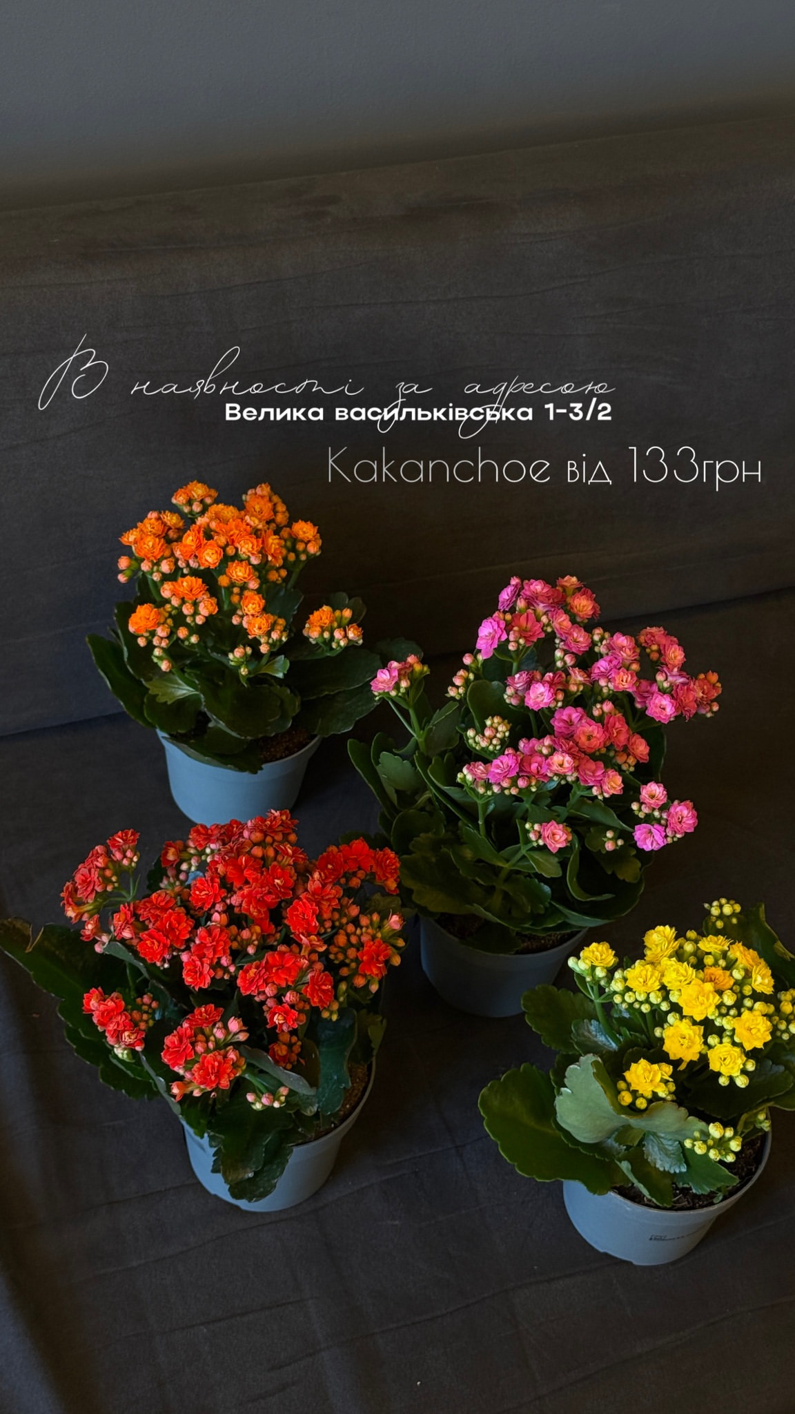 Букет від floravipluxe_kyiv