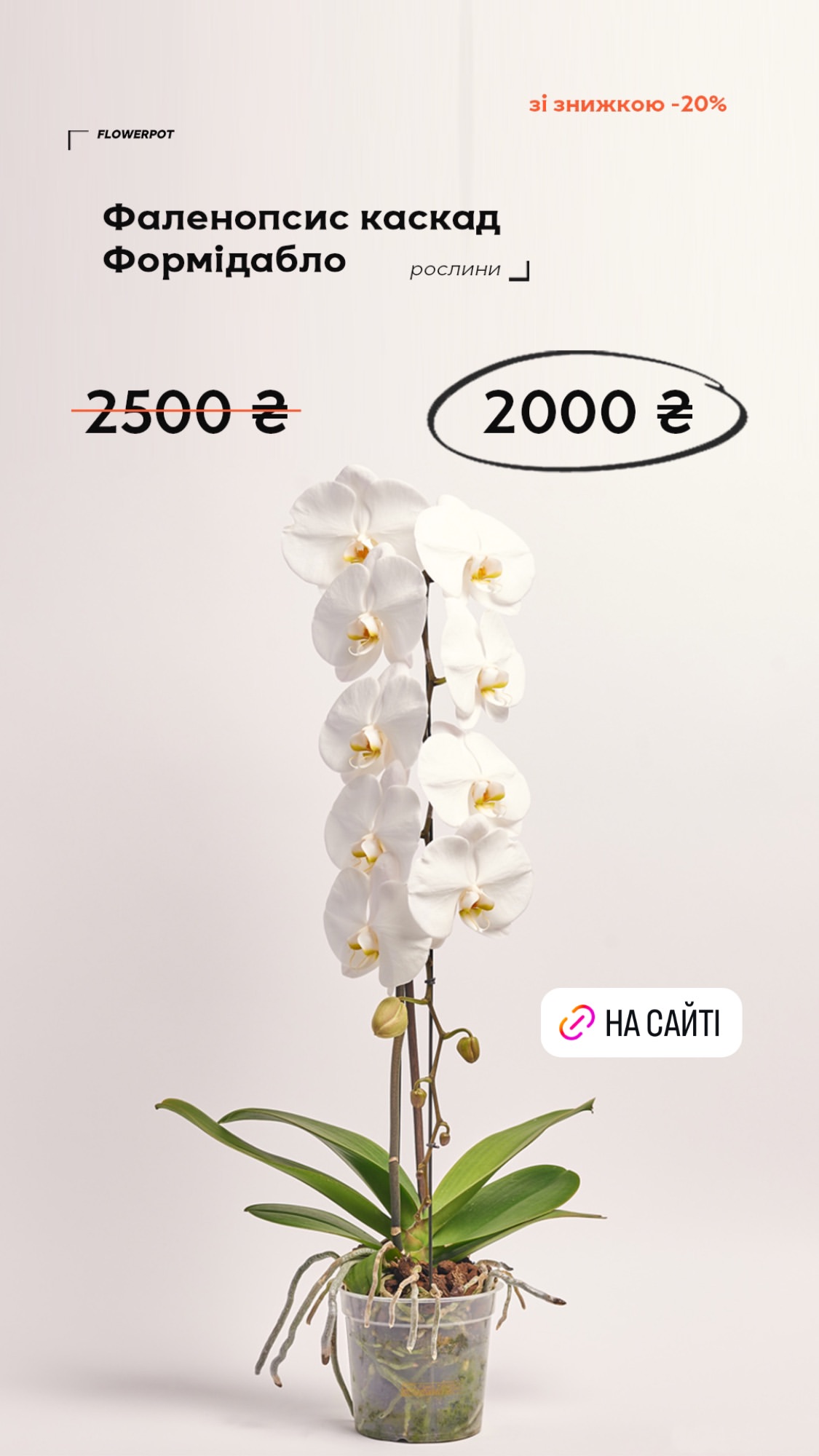 Букет від flowerpot.ua