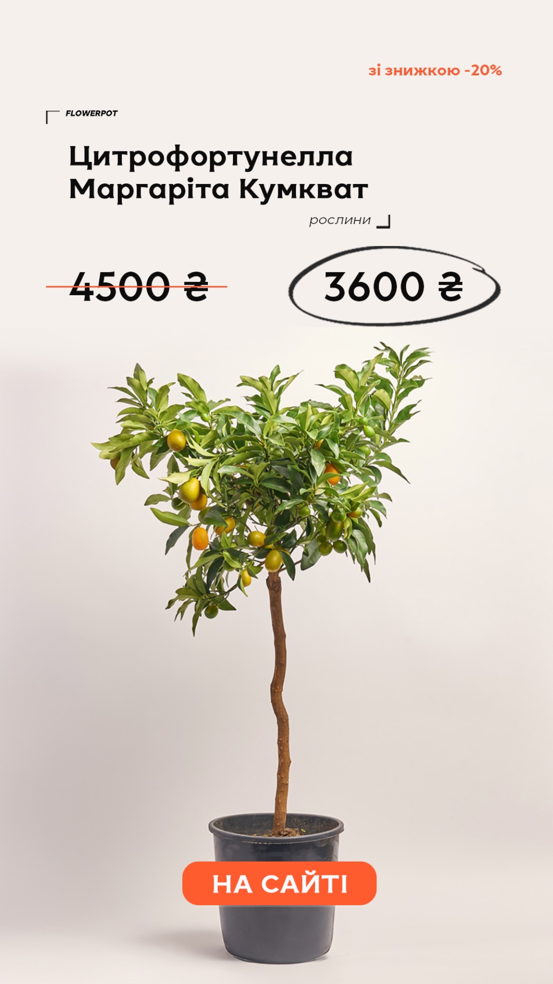 Букет від flowerpot.ua