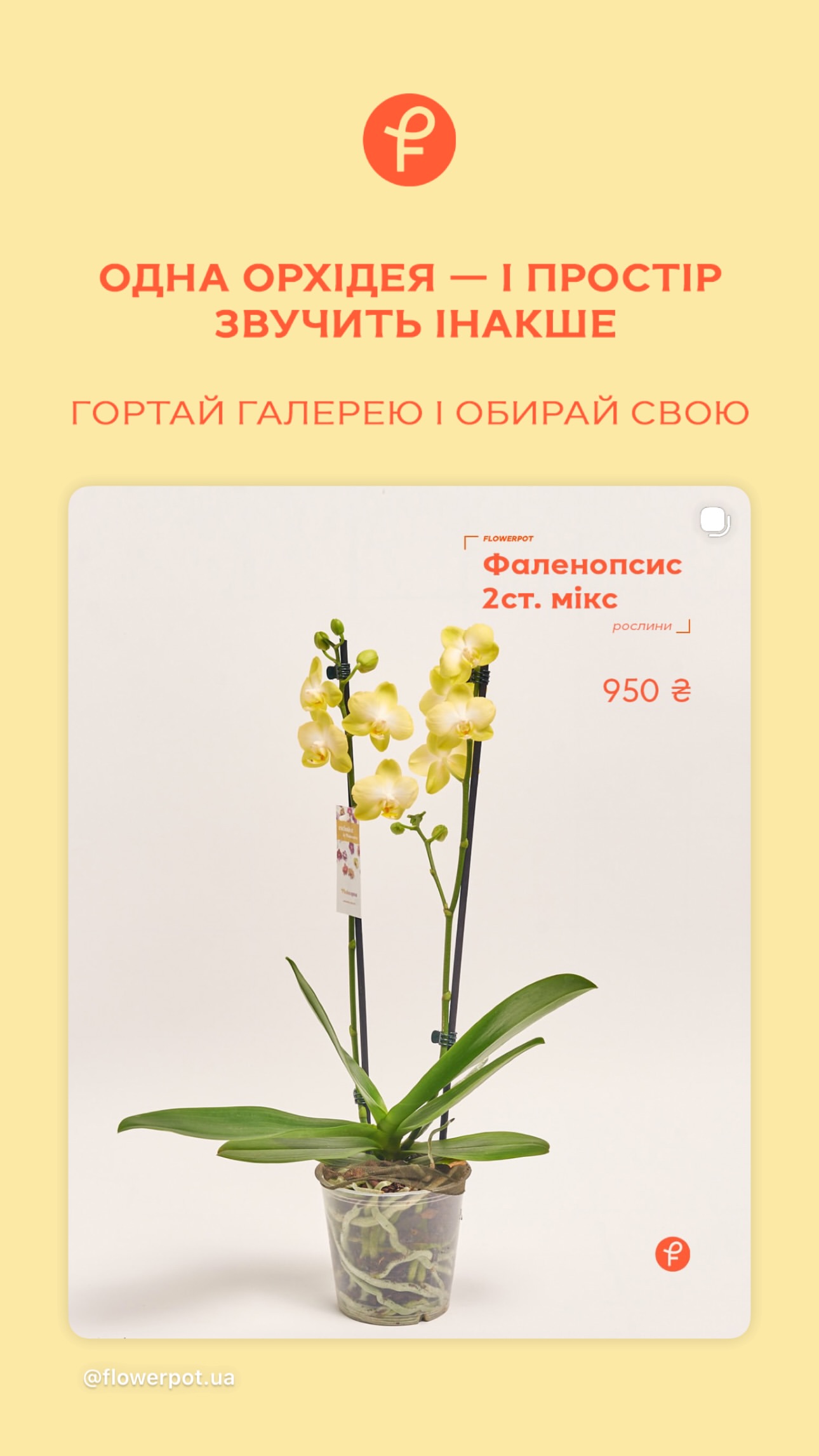 Букет від flowerpot.ua