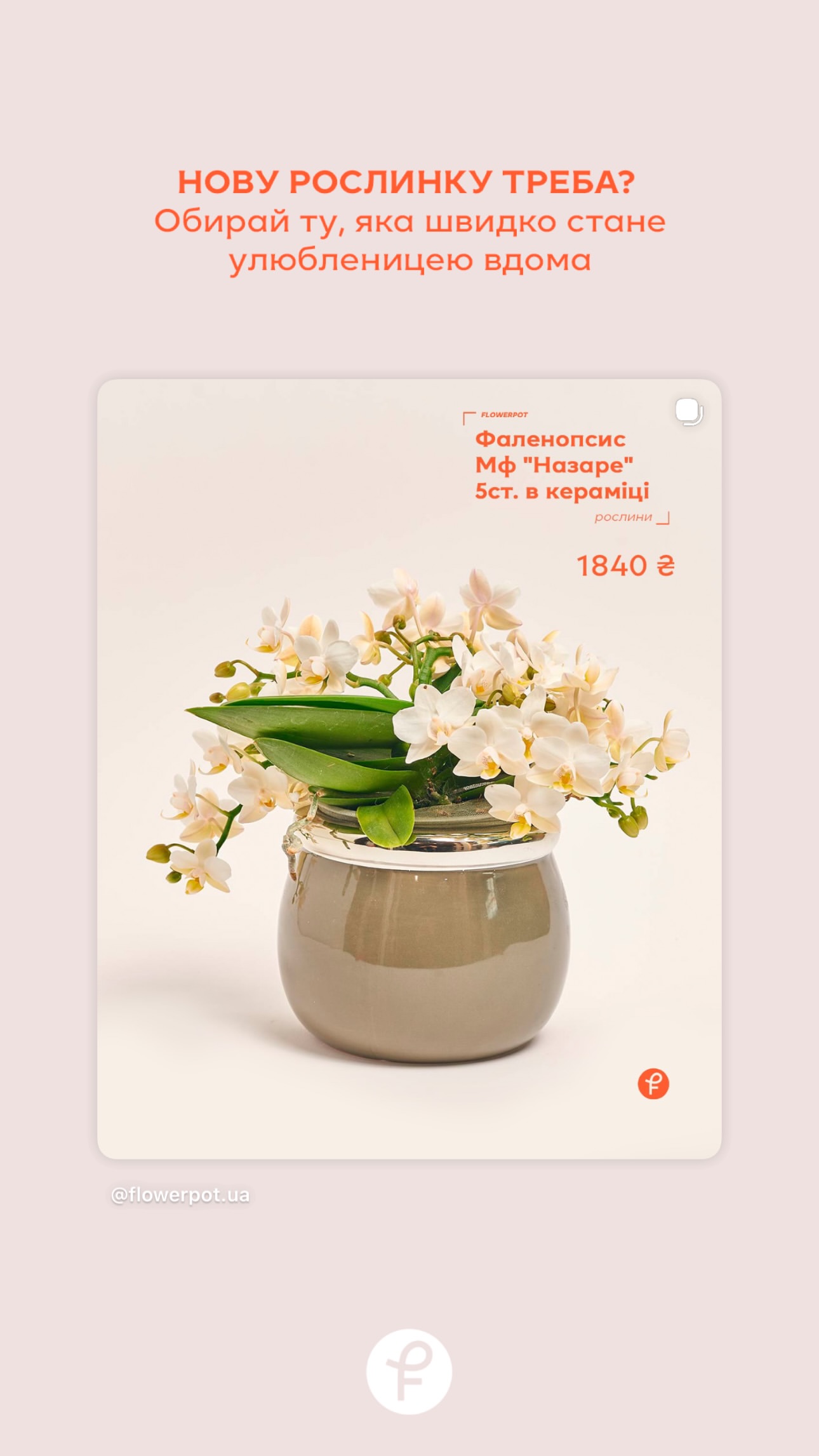 Букет від flowerpot.ua