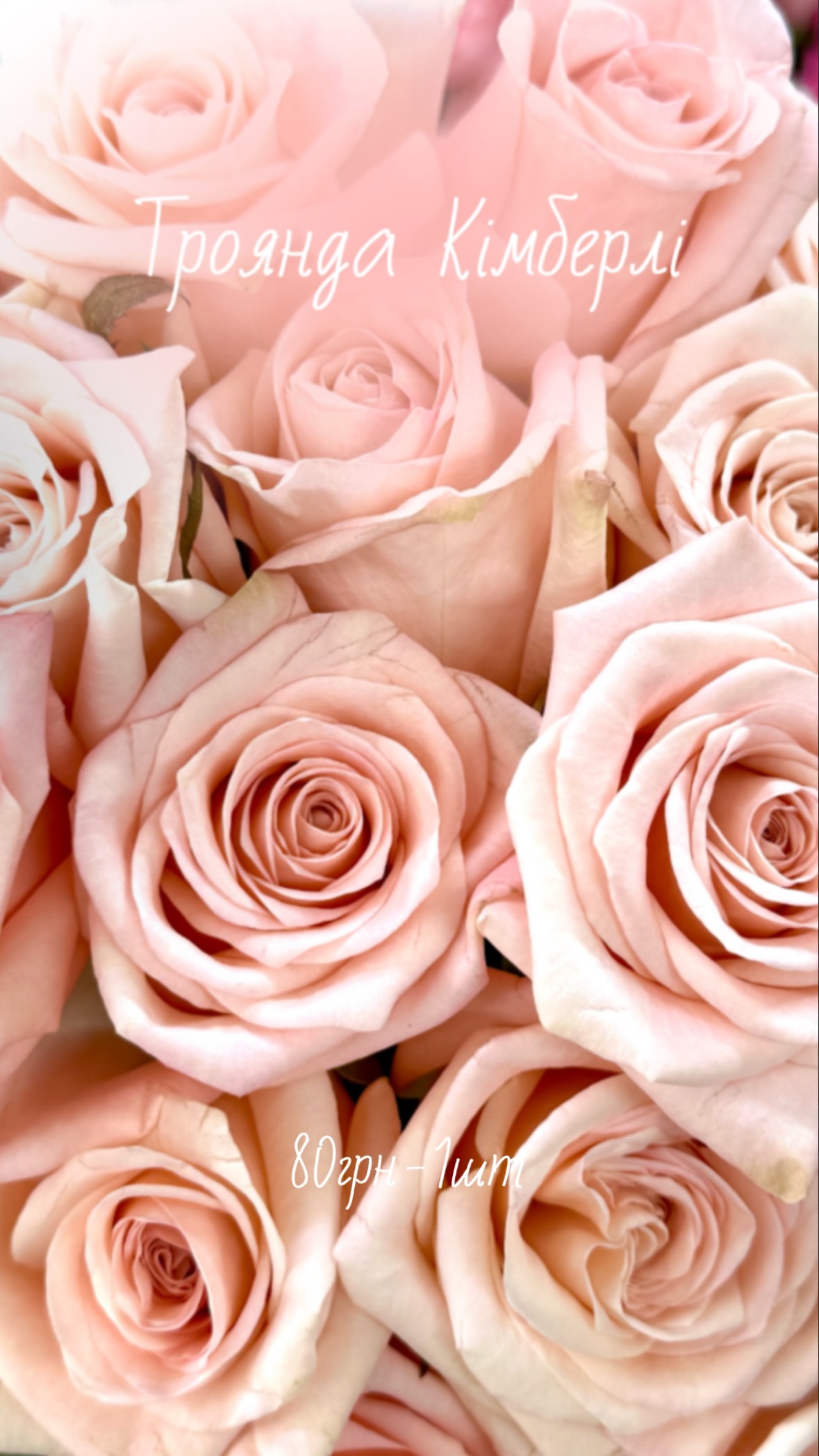 Букет від flowershopsr