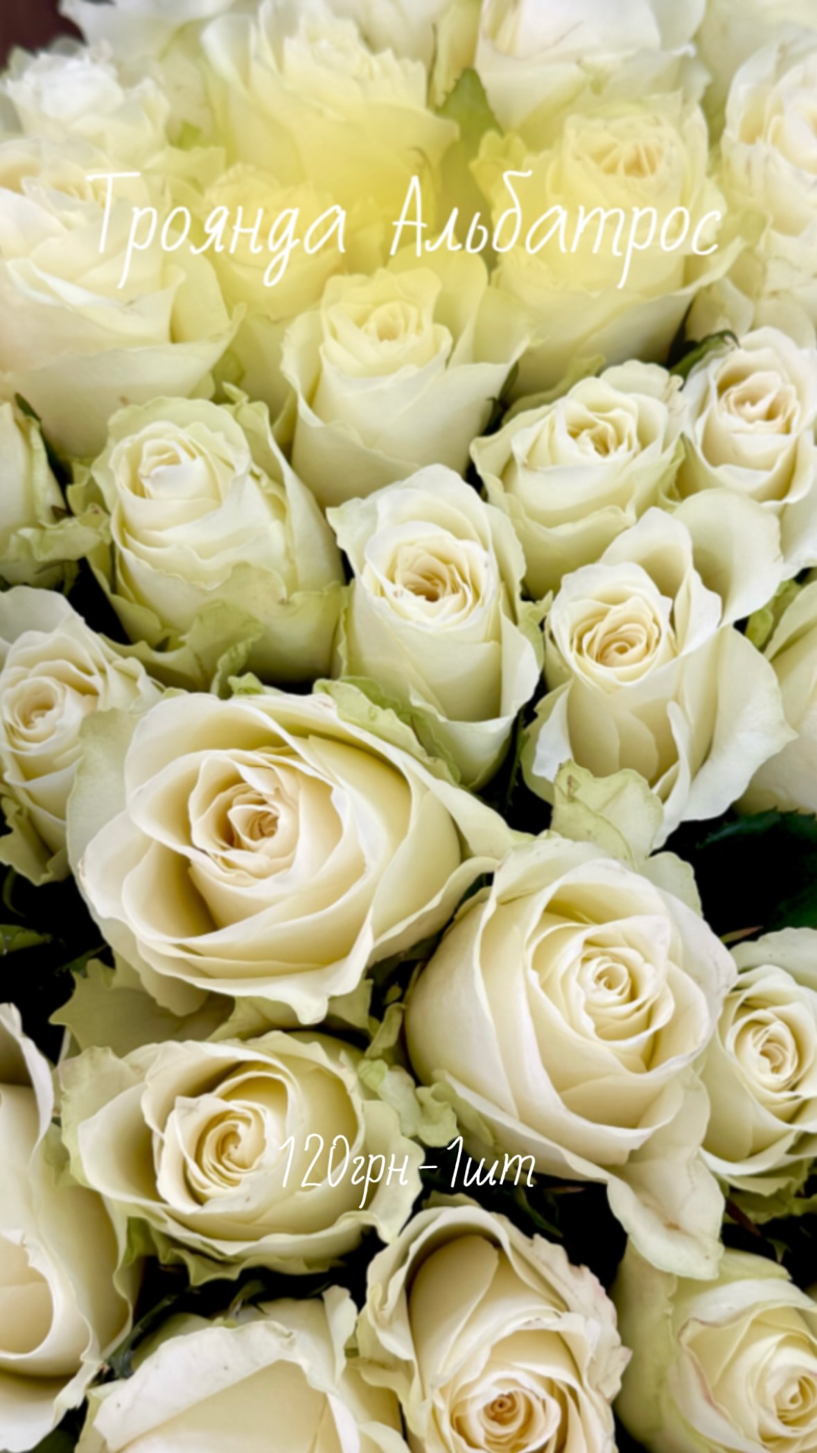 Букет від flowershopsr