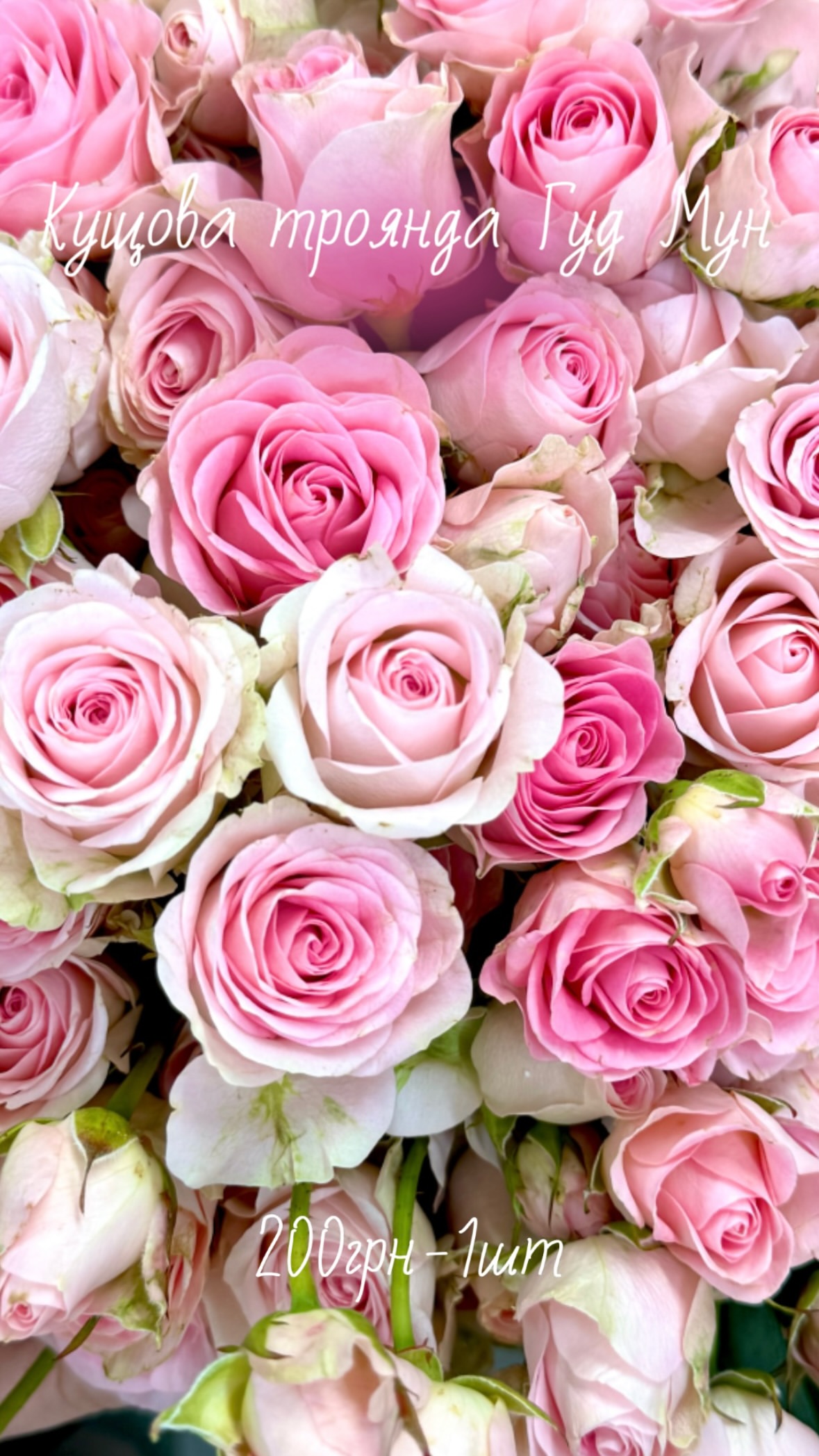 Букет від flowershopsr