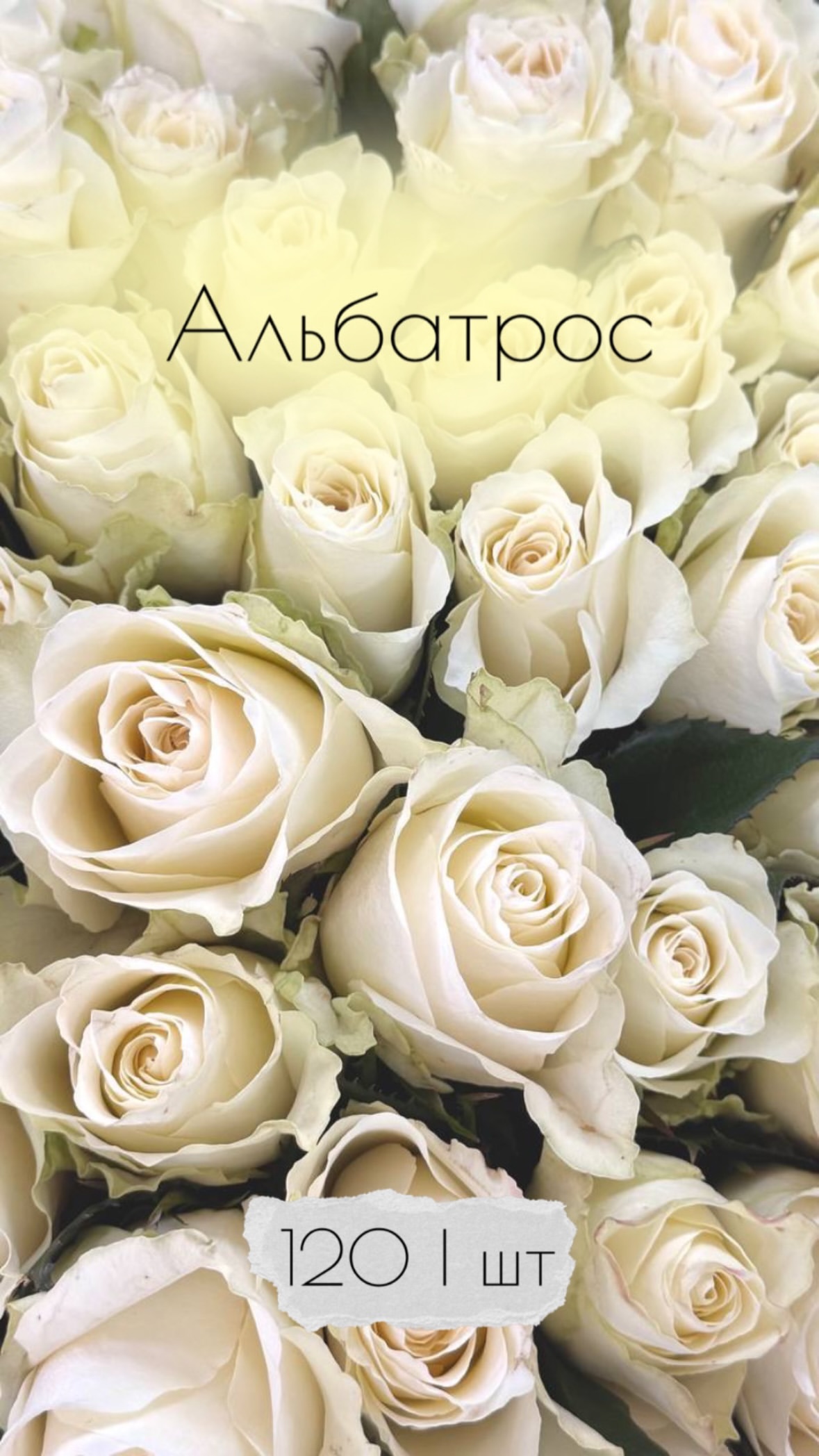 Букет від flowershopsr