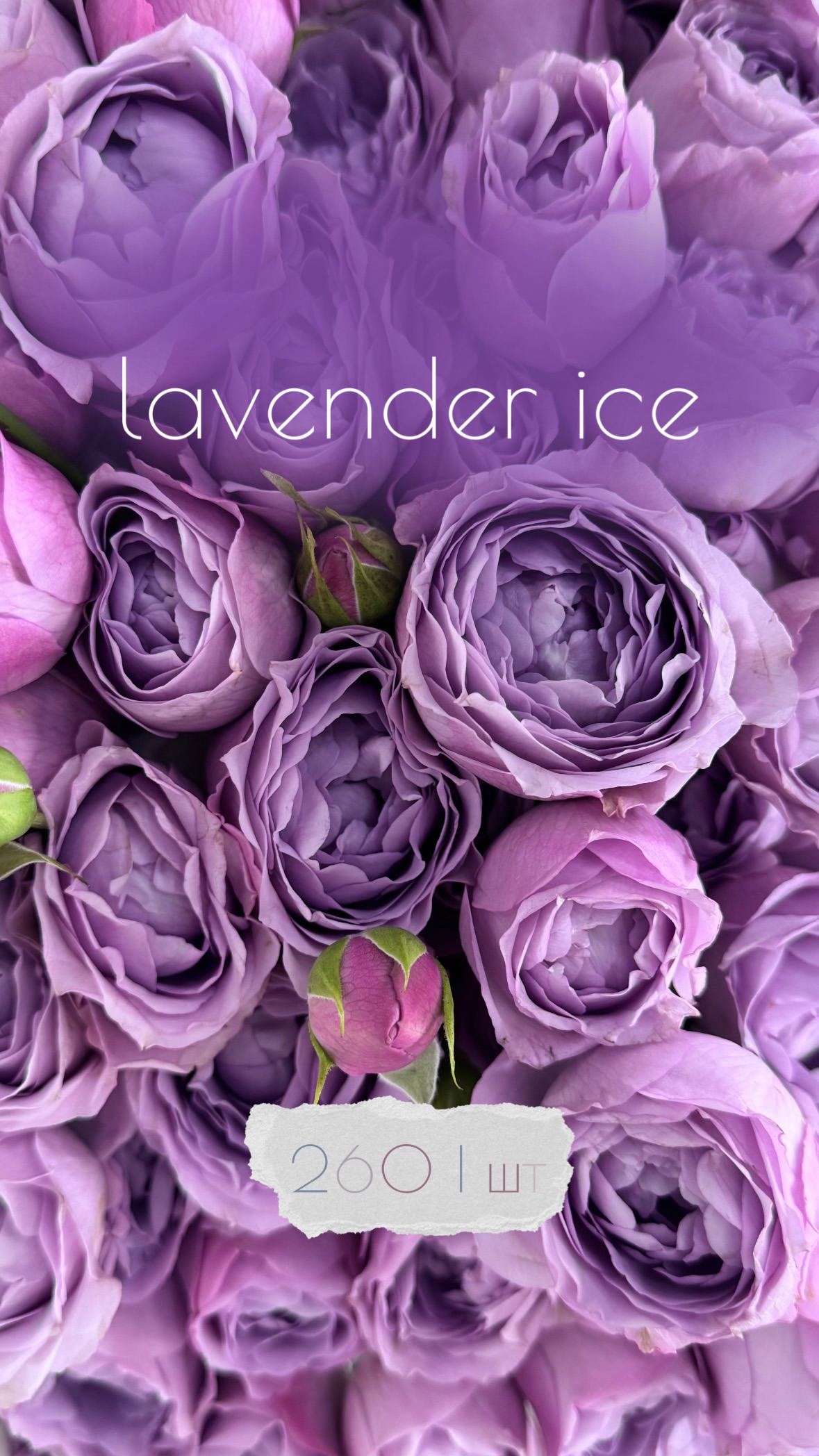 Букет від flowershopsr