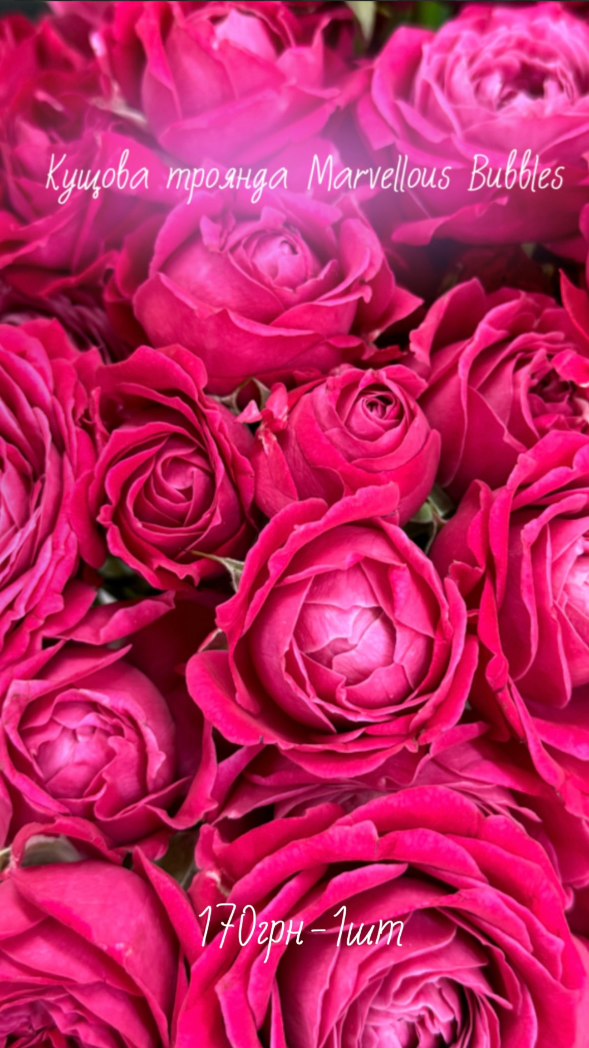 Букет від flowershopsr