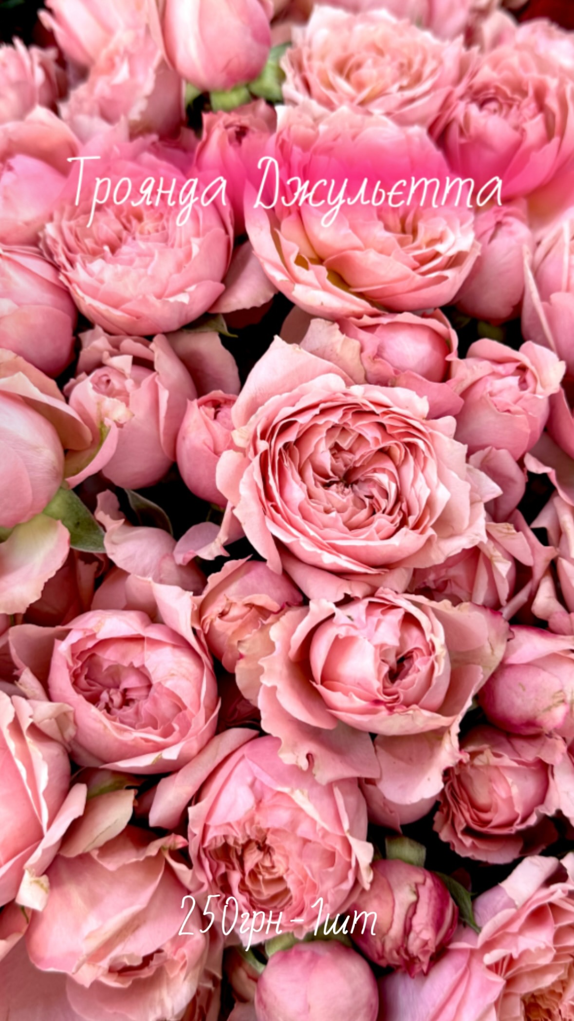 Букет від flowershopsr