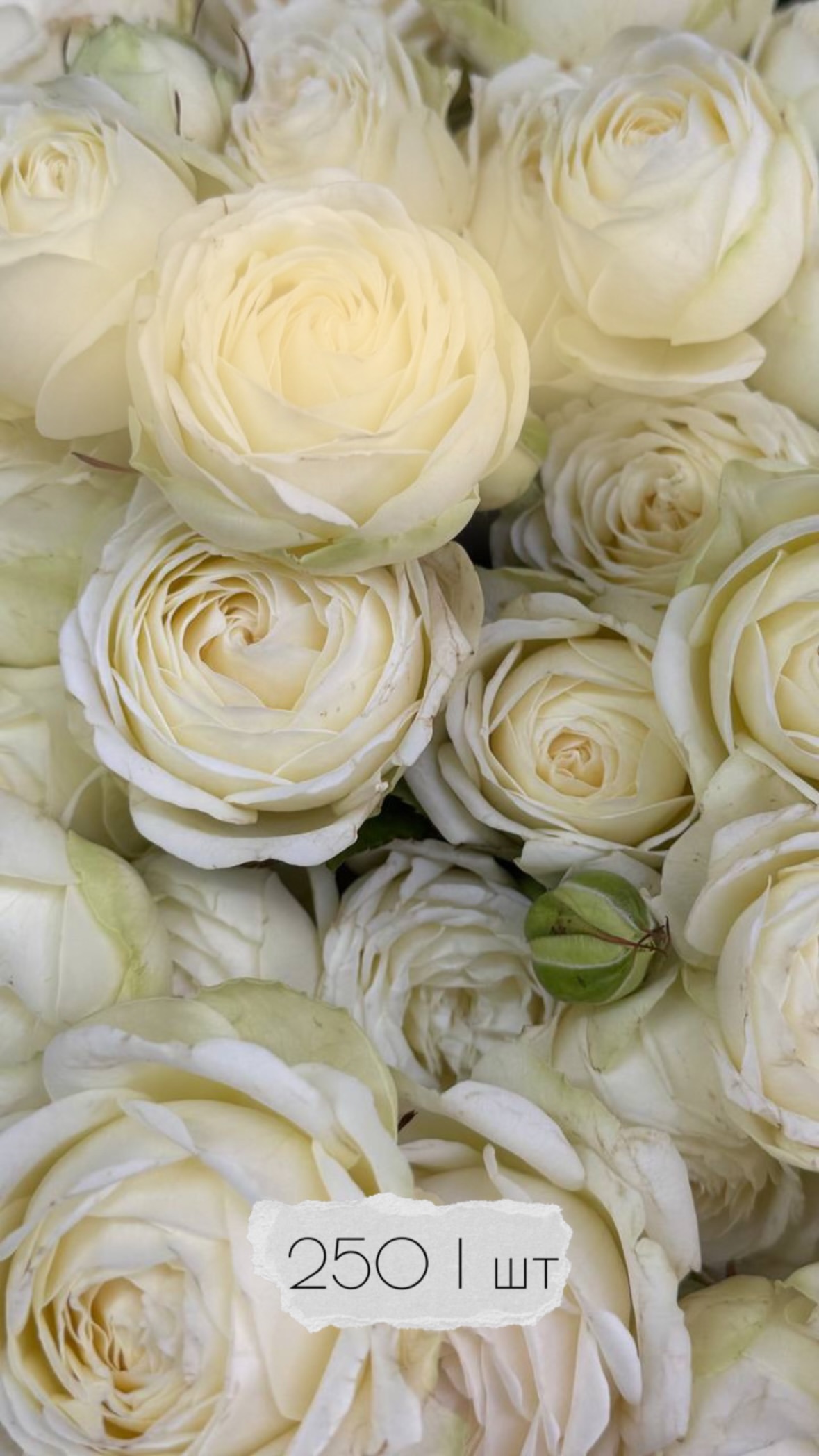 Букет від flowershopsr