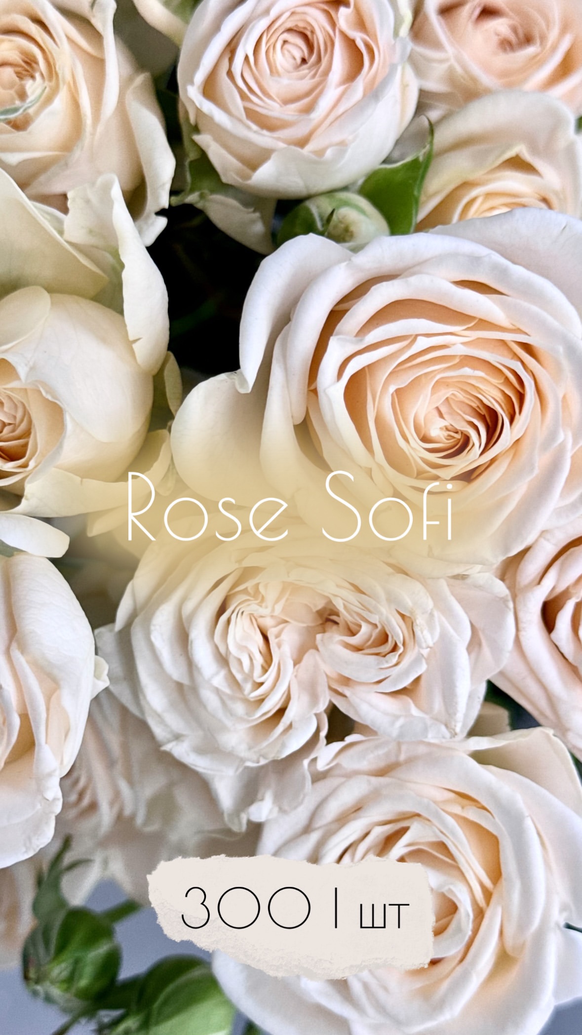 Букет від flowershopsr