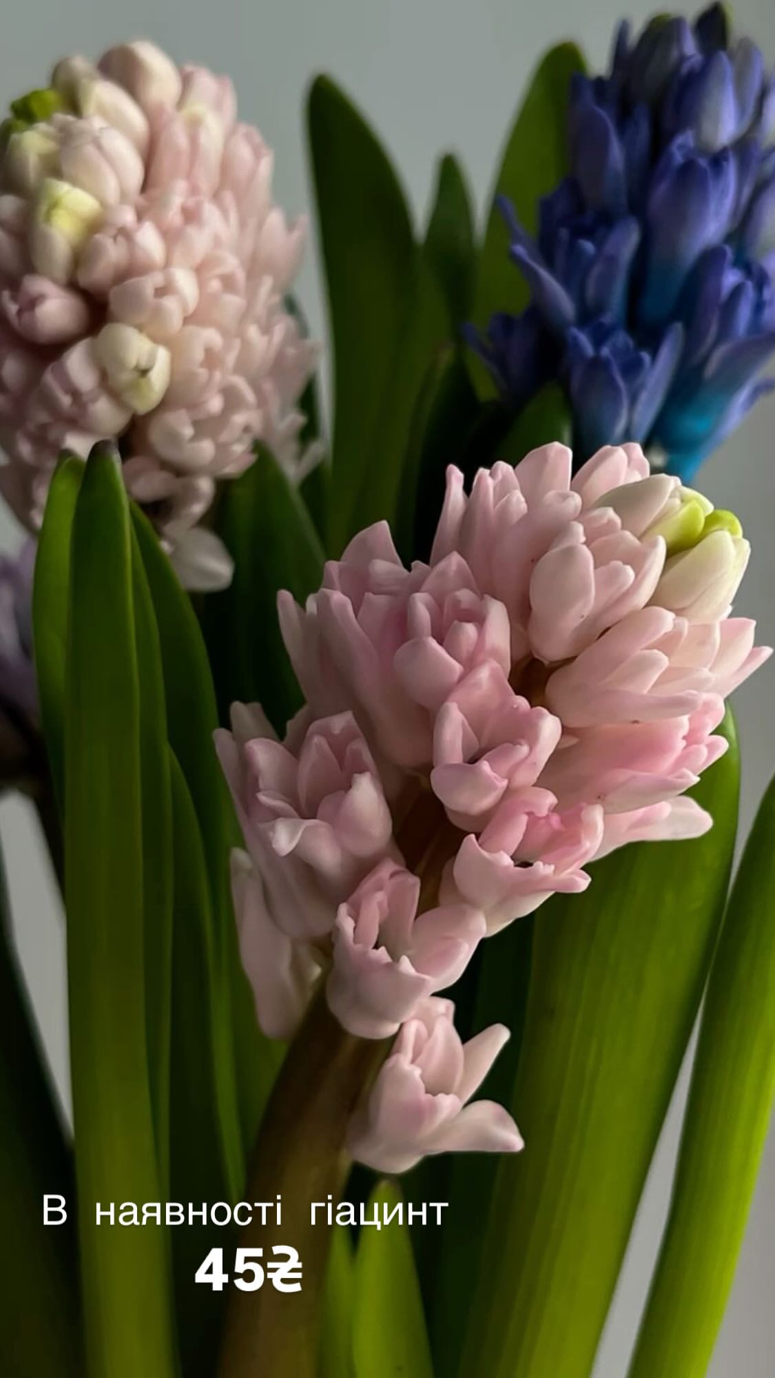 Букет від g.flowers.ua