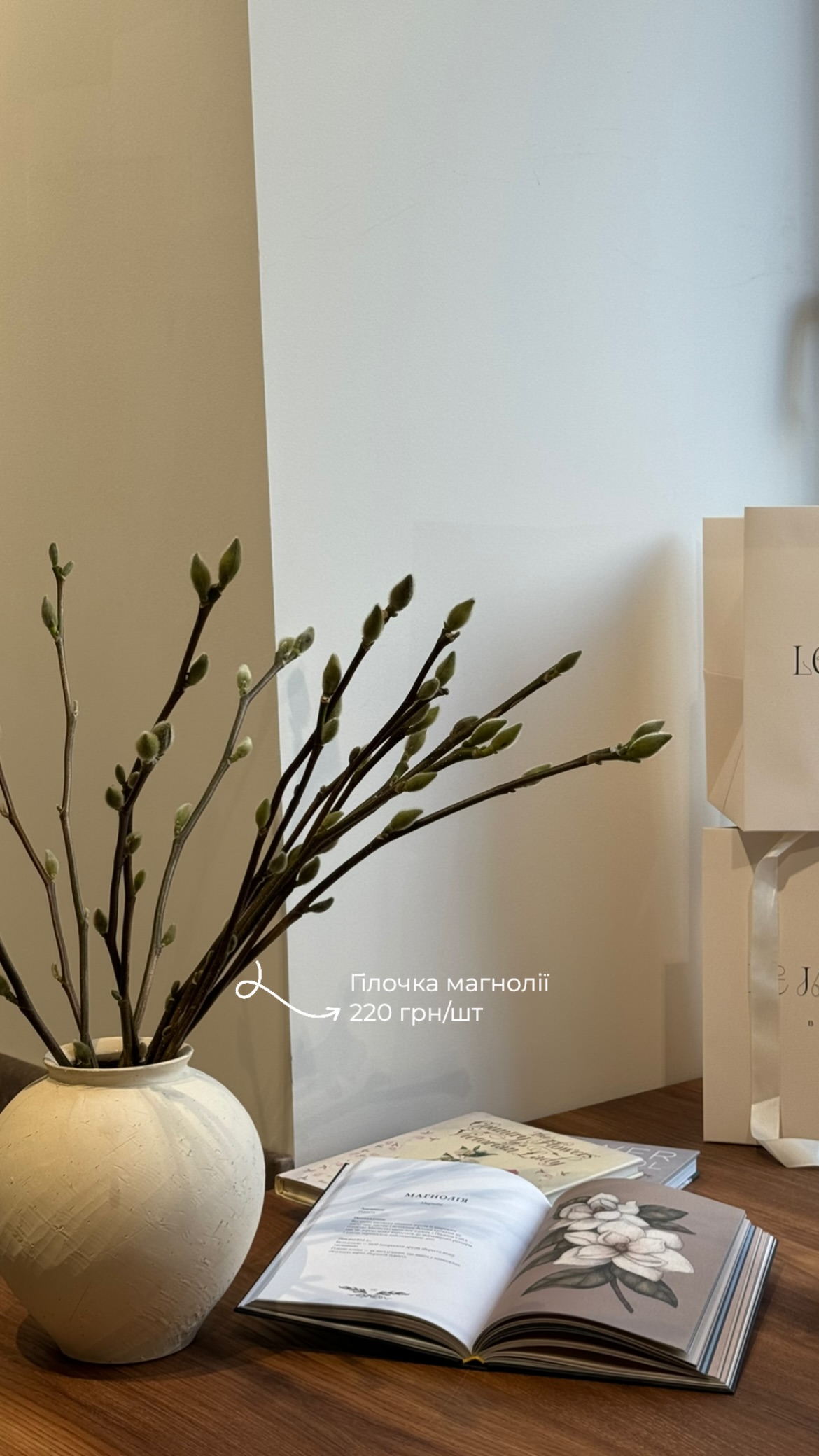 гілочки магнолій у бруньках